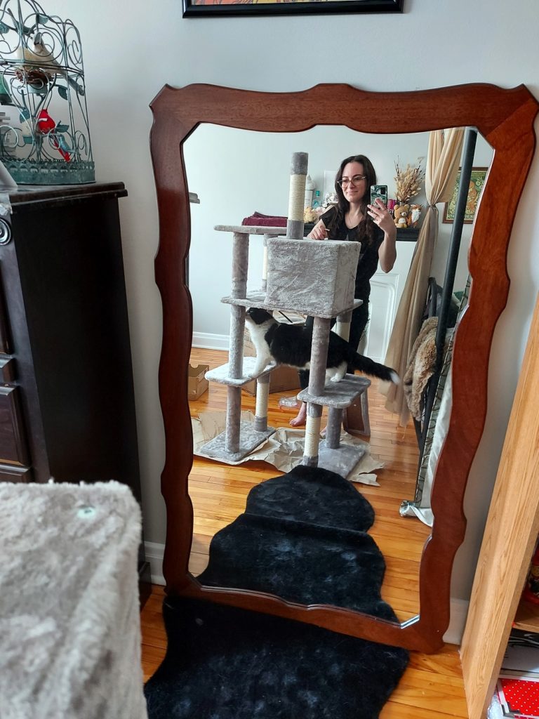 Through the reflection in a solid-wood framed mirror, the partly-built grey frame of the cat tower is visible. Scout stands on the second level, sniffing one of the fleece-covered support beams while I take a photo of us from behind the structure, holding an allen key in one hand.