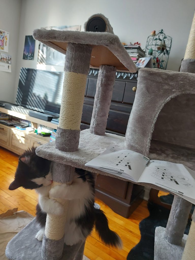 Scout hugs one of the support beams of a light grey fleece covered cat tree, sinking his claws into the sisal rope of the support beam. On the level above him, the building instruction booklet is propped open by an allen key where it lays flat in front of a cat condo.