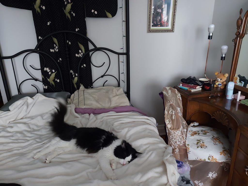 Scout, a black and white furred cat, naps sprawled out happily on a bed covered in a white blanket.