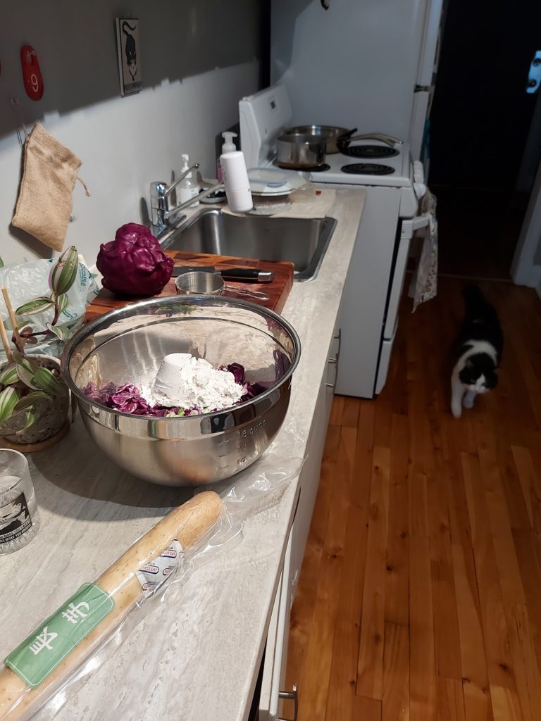 View of a long kitchen, a cat trotting in towards the camera from the doorway. On the counter is a steel mixing bowl filled with chopped red cabbage and flour, while beside it lies a fresh nagaimo in a vacuum sealed bag.