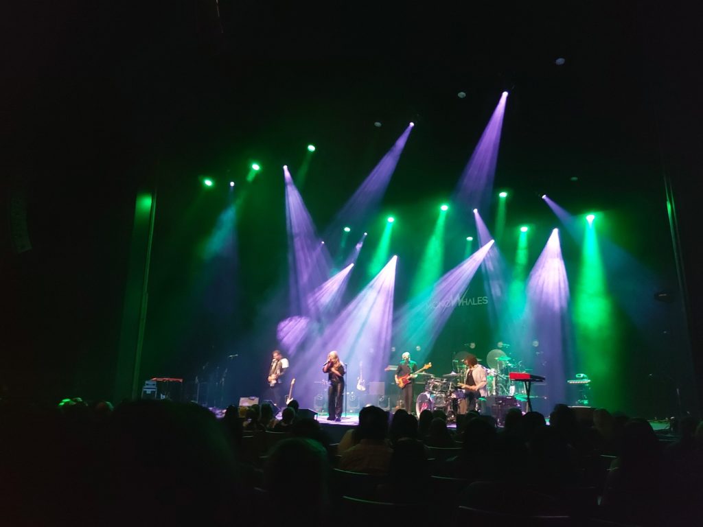 View of the members of band MONOWHALES on stage, lit up in purple and green lights.