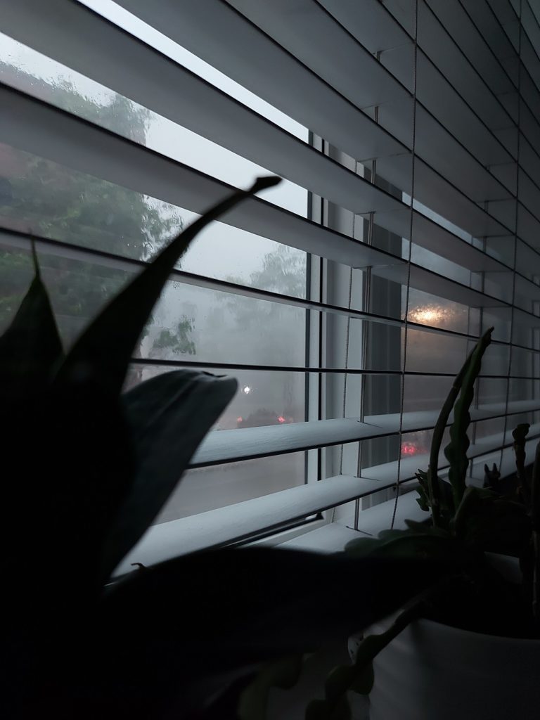 Though the white slats in blinds, grey, rainy weather is visible, the tail lights of cars and lit street lamps visible but blurry through the downpour. In the foreground, the silhouettes of potted plants on the windowsill are visible.