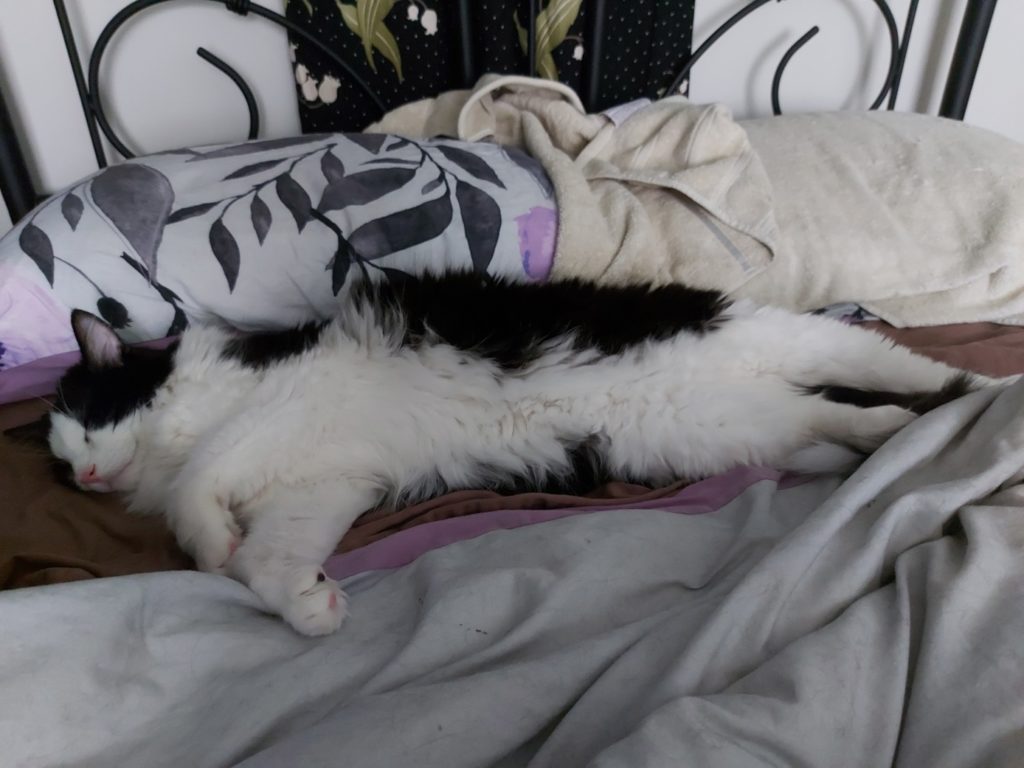 A white and black furred cat snoozed sprawled out and contented on a brown, white, and lavender bedspread.