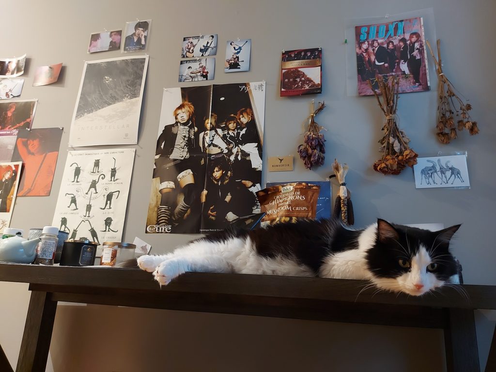 A black and white furred cat lays stretched out and bored-looking on top of a kitchen table.