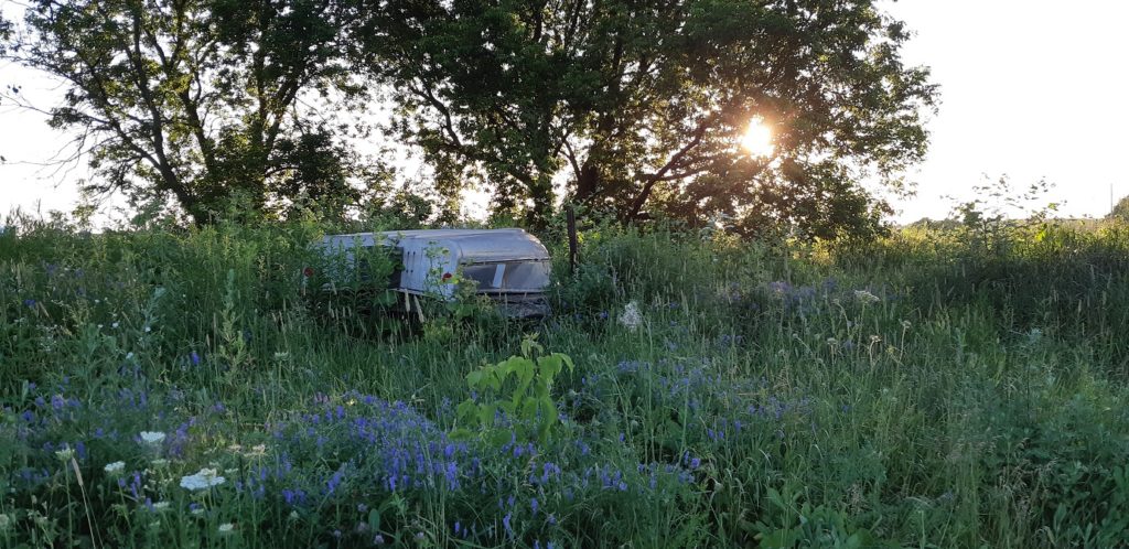 A field dotted with white and purple wildflowers sits in the shade of several trees, beyond which the sun is setting. In the centre of the field a silver fishing boat lays overturned. It belonged to my grand-père.