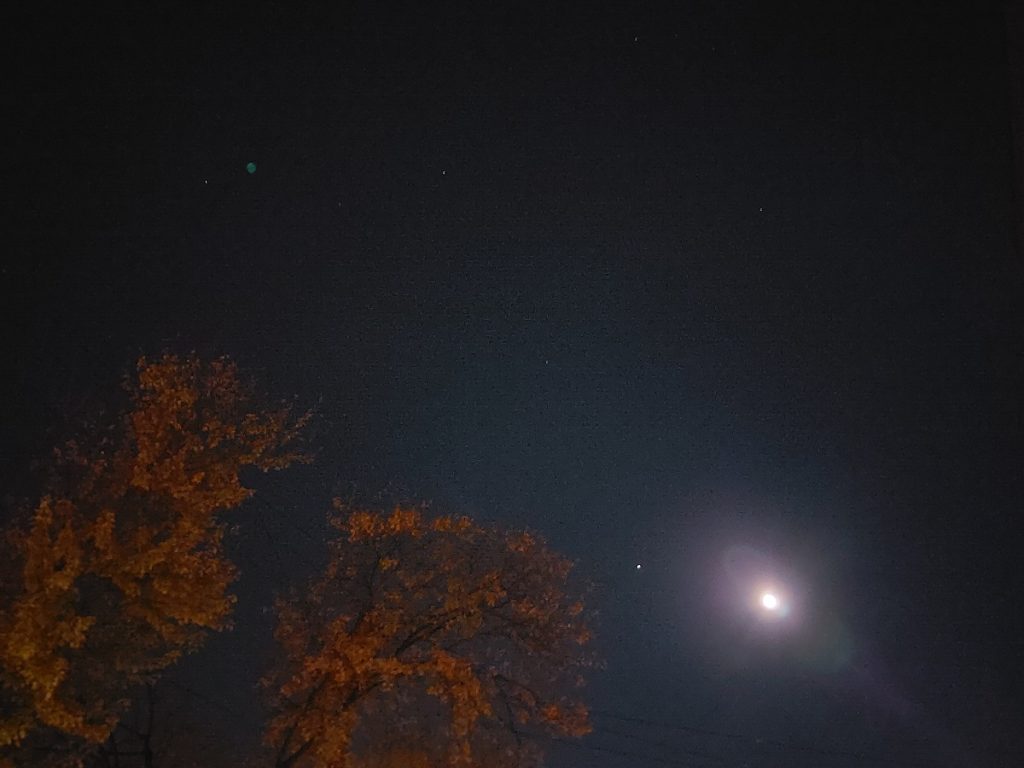 In the bottom right, a very bright moon is just visible in the night sky beside some treetops, their leaves already turning a burnt golden yellow with the coming of fall.